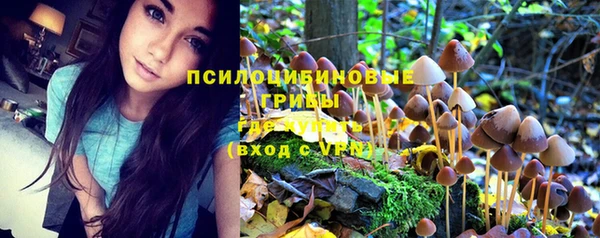 хмурый Абинск