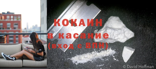 тгк Алексин