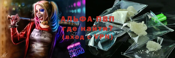 spice Алзамай
