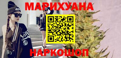 сатива Кандалакша