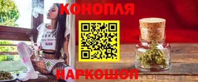 сатива Кандалакша