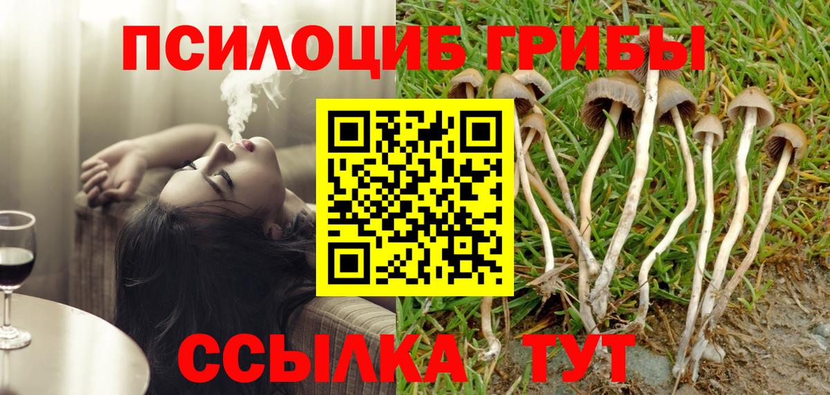 Псилоцибиновые грибы прущие грибы  сколько стоит  Красноуфимск  Вход с VPN 