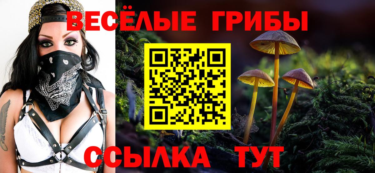 Псилоцибиновые грибы Cubensis Красноуфимск