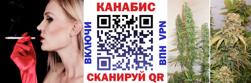 Марихуана сатива  Красноуфимск 