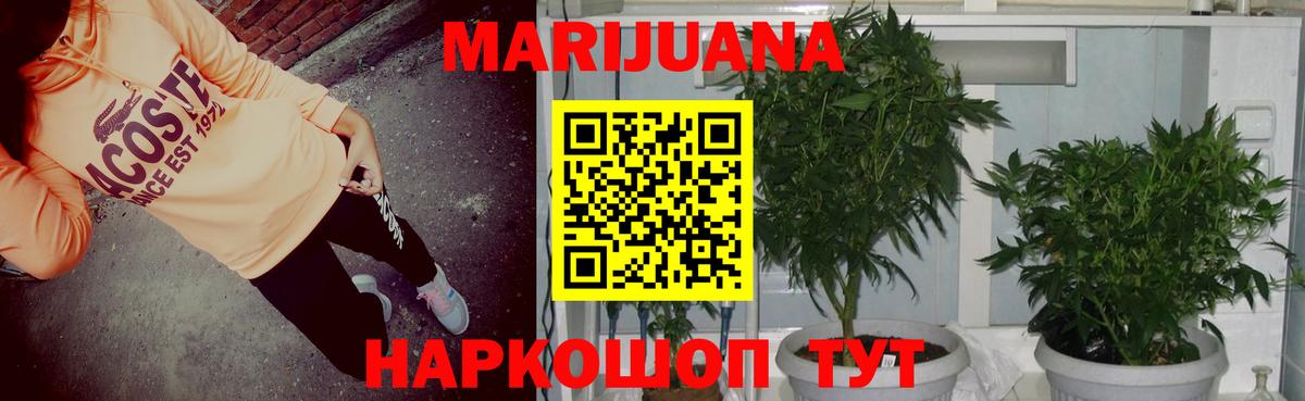 Шишки марихуана AK-47  Каннабис сатива  Вход с VPN  Бошки марихуана Bruce Banner  Красноуфимск  Шишки марихуана OG Kush 